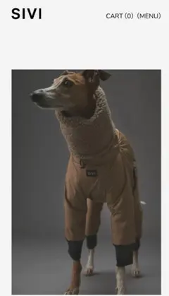 イタグレ スノースーツ2着セット イタグレ スノースーツ2着セット イタグレ スノースーツ2着セット