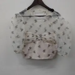 (61)ZARA 花柄 シアー パフスリーブ トップスのサムネイル