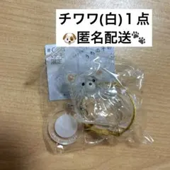 正規品　うちの子のけだまだま　ガチャガチャ　チワワ　白　シープラ限定アソート
