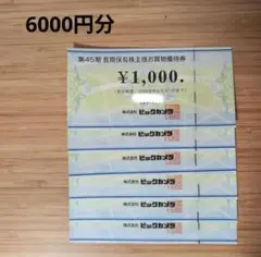 ビックカメラ 株主優待券 6000円分