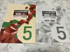 すもも様 リクエスト 2点 まとめ商品