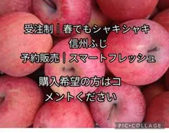 糖度20%！味は贈答用クラス3キロ【甘くて美味しい】信州高山村産サンフジ 糖度20%！味は贈答用クラス3キロ☆信州高山村産小玉サンフジ☆甘い