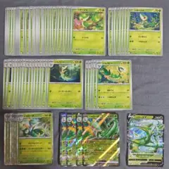 ポケモンカード ジャローダ ツタージャ 2枚セット - メルカリ