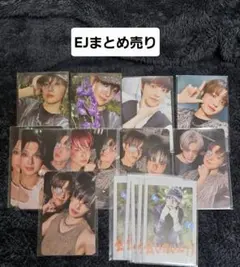 &team ej タレントカード