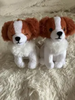 コーイケルホンディエのおでこちゃん おすわり ST.VMC 大谷翔平 美品】コーイケルホンディエのおでこちゃんおすわり ぬいぐるみ セント