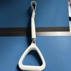매달려 가죽 1개 쓰쿠바 익스프레스