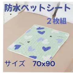 Item thumbnail for item aeb350be-c2a6-4bd0-ac2d-ca524824f57d