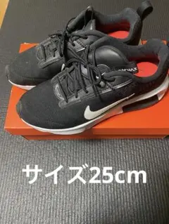 Nike Air Max ブラックスニーカー