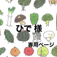 ☆ ひで様 専用ページ ☆