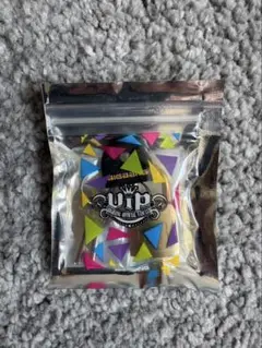 BIGBANG VIPシート限定品 BIGBANG ＋‪α‬ VIPシート ゴールドディスク 【京セラドーム