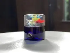 2026年最新】水中花 キーホルダーの人気アイテム - メルカリ