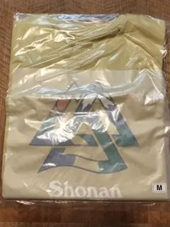 THE NORTH FACE 2025年湘南国際マラソン Tシャツ　メンズM