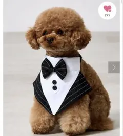 ペット用　犬用　猫用　エプロン蝶ネクタイ風チョーカー　バンダナ黒