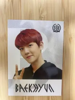EXO ベッキョン MAKESTAR トレカ Amazon.co.jp: EXO ベッキョン トレカ baekhyun ベクヒョン