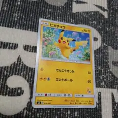即日発送 ピカチュウ SML