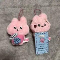 チェゴシム ぬいぐるみ マスコット 2種セット