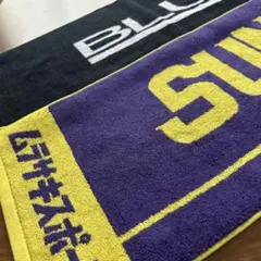 Item thumbnail for item c51506c4-bd2a-4c47-b9c4-01c186481eb8