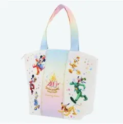 ディズニー　40周年　グランドフィナーレ　スーベニアランチバッグ