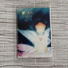 矢沢あい　ツインウエハース　天使なんかじゃない　レアカード