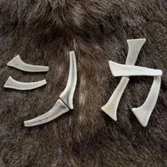 『てん☆様専用の鹿の角』約10cm 犬のおもちゃ　鹿