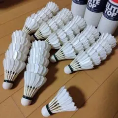 Item thumbnail for item 4c6ebfec-4cd7-4378-999c-551d6882476a