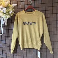 タグ付き！Dignite collier GRAVITY 長袖セーター Fサイズのサムネイル