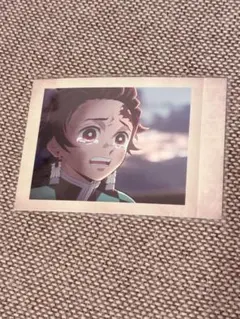 鬼滅の刃 竈門炭治郎 ぱしゃこれ