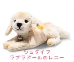 2025年最新】シュタイフ ラブラドールの人気アイテム - メルカリ