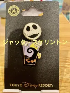 ⭐︎ジョージ様専用⭐︎ 東京ディズニーリゾート ピンバッジセット