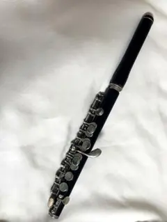 Item thumbnail for item 7f6f05c1-a8e9-4b17-8479-69a8e70a46cd