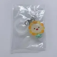 jo1 JOCHUM 佐藤景瑚 Bira めじるしアクセサリー