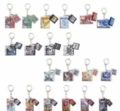 ポケモン パッケージ カートリッジ キーホルダー コレクション 20種 