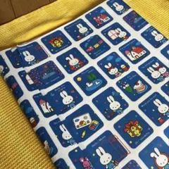 Item thumbnail for item 785325a2-b89f-4ec7-b48e-643d94cd6c3d