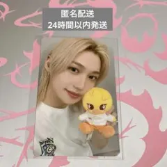 straykids スキズ ズートピア ポップアップ popup フィリックス