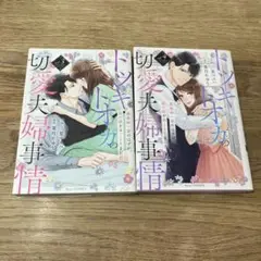 女性漫画 トツキトオカの切愛夫婦事情 3巻 4巻 セット