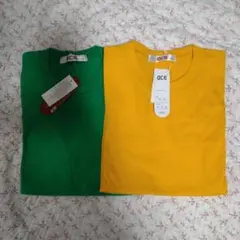 Item thumbnail for item 97ea67fb-46a0-4b65-93fe-b95bd1454924