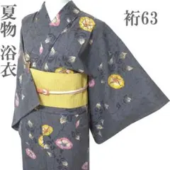☆極上の絵絣 木綿 蝶々 単衣 ブルーグレー系 洗える 綿絣着物 - メルカリ