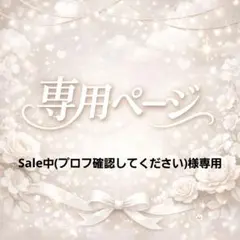 Sale中(プロフ確認してください)様専用•*¨*•.¸♬︎