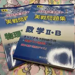 駿台　大学入学共通テスト2023実戦問題集　物理基礎　マーク　過去問　数学IIB