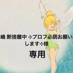 嶋 断捨離中 ✣プロフ必読お願いします✣様　専用