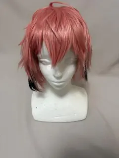 赤城ウェン コスプレ ウィッグ - メルカリ