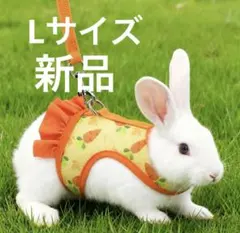 Item thumbnail for item 44e5b6da-977e-4fac-b602-078c1e0dd297