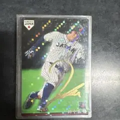 プロ野球チップスカード　広島東洋カープ24枚セット2016〜