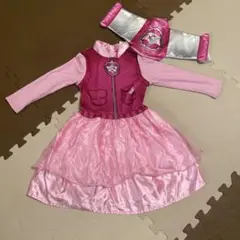 傷あり。パウパトロール　スカイコスチューム
