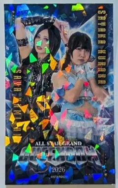 ホームズ様 リクエスト 2点 まとめ商品