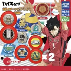 ハイキュー!! 高校モチーフピンバッジ3 椿原学園高校 - メルカリ