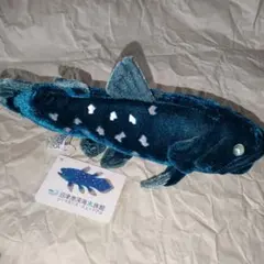 沼津港深海水族館　シーラカンスぬいぐるみ リアルシリーズ　Sサイズ　ラブライブ