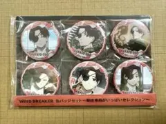 WIND BREAKER 缶バッジ6個セット　蘇芳隼飛がいっぱいセレクション