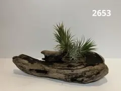 Item thumbnail for item 773ff81c-0d59-40e4-8c87-b9a73b958131