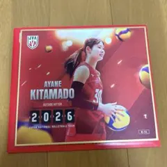 そ*ま様 北窓絢音選手 バレーボール女子日本代表 2026 トレーディング